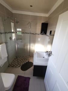 ein Bad mit einer Dusche, einem Waschbecken und einem WC in der Unterkunft Lucolo Palace B&B - Mthatha in Mthatha