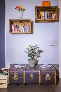 Gallery image of Don Moustache Boutique Hostel in Barcelona