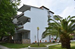 a white building with palm trees in front of it at Hotel Zachos in Troulos