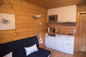Köök või kööginurk majutusasutuses Haus Ritzenspitze