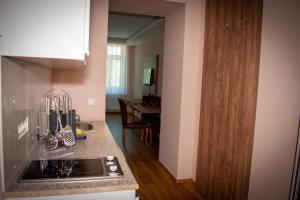 
Küche/Küchenzeile in der Unterkunft Aurellia Deluxe Apartments
