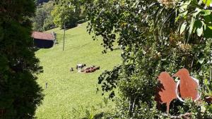Zahrada ubytování Ferienhaus Grappa