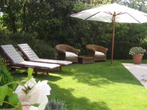 drie stoelen en een paraplu op een gazon bij Countryhouse with Pool in Vaison la Romaine in Vaison-la-Romaine