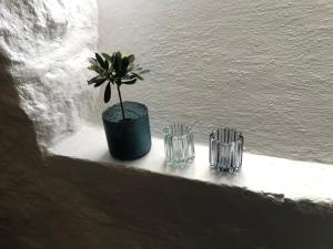 Foto dalla galleria di Arctic Garden a Lødingen