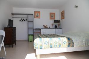 a bedroom with a bed and a desk and a kitchen at Villa Marcus in Castelnau-Magnoac