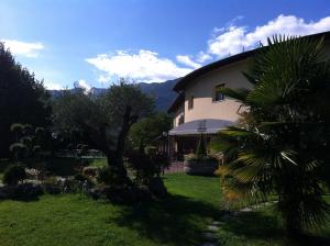 una casa con una palmera en un patio en Ca' Del Bosco en Budoia