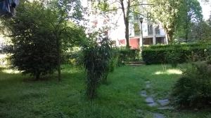 einen Garten mit Bäumen und ein Haus im Hintergrund in der Unterkunft Vely's Rooms in Novara