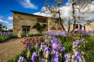 Borgo Del Cabreo外面的花园