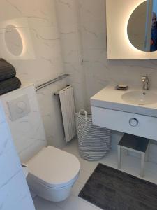 a white bathroom with a toilet and a sink at High class Apartment Paris 15 in Paris