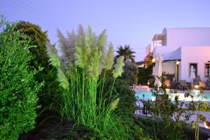 Gallery image of Anthonas Apartments in Imerovigli +39 photos