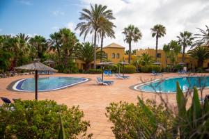 una piscina in un resort con palme di El Jasmine a Corralejo
