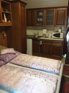 a small kitchen with a bed in a room at Big Apartman in Hajdúszoboszló +19 photos