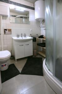 a bathroom with a sink and a toilet at Studio apartman Ana in Osijek