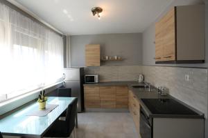 a kitchen with a sink and a counter top at Studio apartman Ana in Osijek