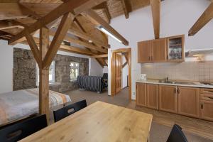 a kitchen and a bedroom with a bed and a table at Penzion Solaris in Janov nad Nisou