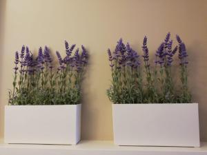 Imagem da galeria de Pansion Bencun em Međugorje