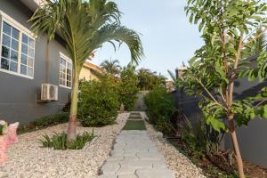 un jardín con palmeras y una pasarela en La Casita Torres, en Oranjestad