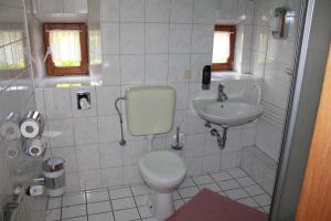 a bathroom with a toilet and a sink at Hotel Zur Friedenslinde in Nuremberg