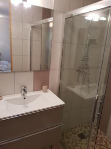 a bathroom with a sink and a shower at Les Lavandes d'Estoublon in Estoublon