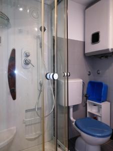 Kúpeľňa v ubytovaní Apartman Paro + 37 fotografií