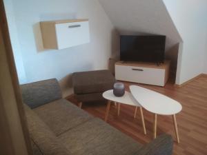 ein kleines Wohnzimmer mit einem Sofa und einem TV in der Unterkunft Gästehaus Zur Fähre in Coswig