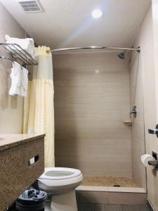 a bathroom with a shower with a toilet and a sink at Quality Inn & Suites Heritage Park in Kissimmee