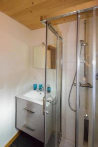 ein Bad mit einem Waschbecken und einer Dusche in der Unterkunft Elin 2 in Bagnes