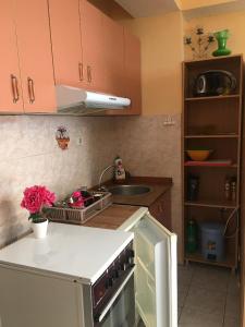 a kitchen with a sink and a counter top at ANI Apartment in Ohrid