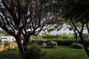 Jardí fora de Torre Ancinale