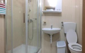 a bathroom with a shower and a toilet and a sink at Apartman Matija in Herceg-Novi