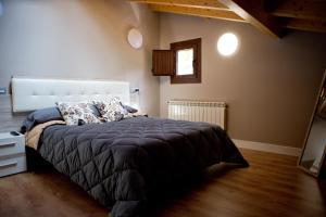 een slaapkamer met een groot bed in een kamer bij Ca Roxa in Pravia
