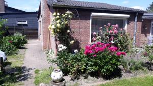 Ein Garten an der Unterkunft Hanover Fair Rooms