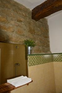 baño con ducha con una planta en la pared en Casa Rural Kandela Etxea, en Lapuebla de Labarca