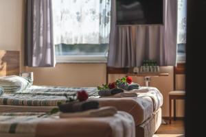 Posteľ alebo postele v izbe v ubytovaní Noclegi Zojka