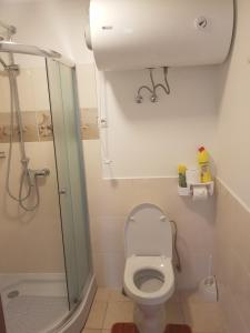 a bathroom with a toilet and a sink and a shower at Zvaigžņu māja in Pāvilosta