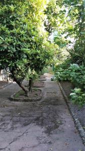 Gallery image of Casa Familiar do Porto in Porto +50 photos