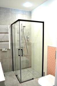 a shower with a glass door in a bathroom at Apartament przy Parku in Polanica-Zdrój