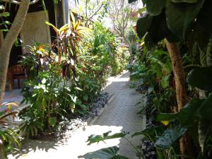 En have udenfor Kabera House 2