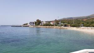 a beach with a person swimming in the water at Relax Apartment 3 in Vlorë