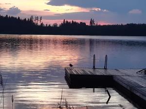 un quai sur un lac avec un oiseau assis sur lui dans l'établissement Hyvölän Mökit, à Ähtäri