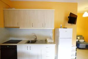 a kitchen with a sink and a white refrigerator at Villa Mimoza in Borsh