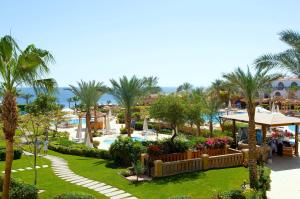 ośrodek z ogrodem z palmami i basenem w obiekcie Royal Savoy Sharm El Sheikh w Szarm el-Szejk
