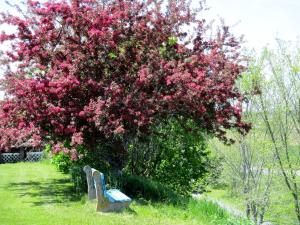 Giardino di Tidal Bore Inn