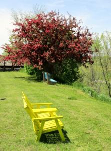Giardino di Tidal Bore Inn