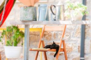a black cat laying on a chair in front of a table at Himara Hostel in Himare