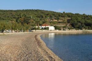 - une plage avec une maison, des arbres et de l'eau dans l'établissement Apartment Tenara - in center & close to the sea, à Vis