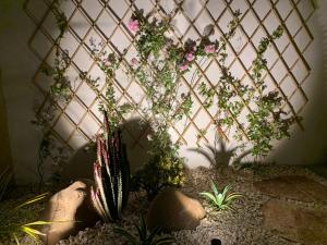 Gallery image of Le Cale Camera Privata in Residence in Favignana