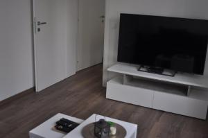 TV a/nebo společenská místnost v ubytování Apartments Home2 Zagreb