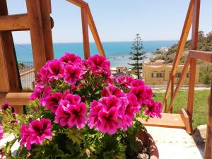 a bunch of pink flowers in a pot on a window at Villa Fiorella in Sciacca
