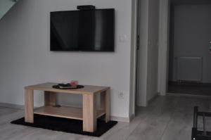 TV a/nebo společenská místnost v ubytování Apartments Home2 Zagreb